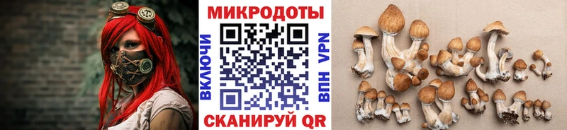 Псилоцибиновые грибы Cubensis  купить наркотики сайты  Жигулёвск 
